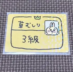 2026年最新】草むしり検定 3級の人気アイテム - メルカリ