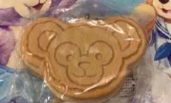 ディズニーシー ダッフィー＆フレンズ スーベニアケース　クッキーサンド