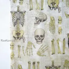 【SALE】147.人骨標本柄☆USAコットン☆シーチング☆はぎれ布☆生地☆