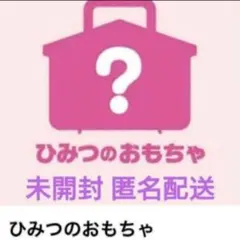 ハッピーセット サンリオ 2024 ひみつのおもちゃ シークレット 未開封