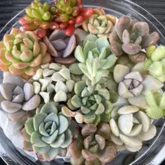 KAZU…☆プロフ必読 m(^_^)様 リクエスト 2点 まとめ商品