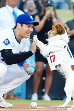 デコピン　ペット　犬　メジャーリーグ日本人選手 メタルサイン　インテリア雑貨