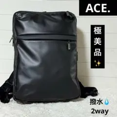 極美品✨エース　ガジェダブルWR ビジネスリュック 2way 55542 黒