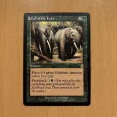 獣群の呼び声/Call of the Herd[ODY]