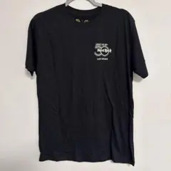 Item thumbnail for item 878e4373-14ea-4a42-a468-bda0d95947c1