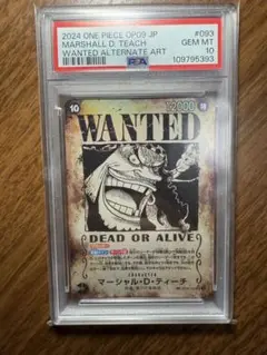 PSA10 手配書ティーチ