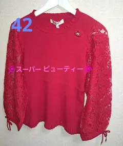 ヤ新品定価16500円　スーパービューティー　カットソー　42 L　赤　ニット