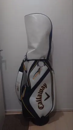 Item thumbnail for item 15d2d7f4-9c7b-493f-b4c3-fa3e41f4f1c7