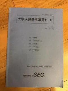 2025年最新】大学入試基本演習 segの人気アイテム - メルカリ