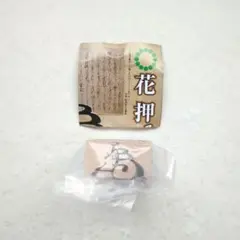 Item thumbnail for item 6a4e8f99-e95c-449c-ba16-5b6995f8da93