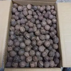 2025年最新】鬼クルミ 食品の人気アイテム - メルカリ