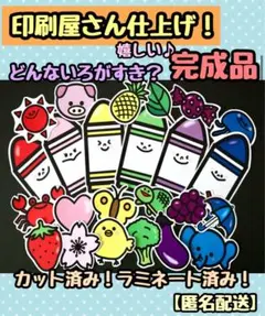 miroru様 リクエスト 2点 まとめ商品