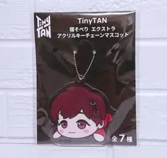 BTS TinyTAN 寝そべり エクストラ アクリルキーホルダー!!