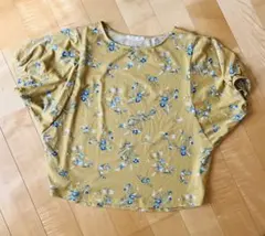 Item thumbnail for item d0f43098-ae86-449b-a2e9-a2ad9b5b09d9