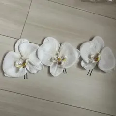 Item thumbnail for item 695f99c5-cc2f-470d-880e-9491f914495c