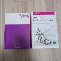 python IT