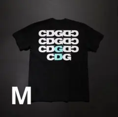 Item thumbnail for item 32279b2d-9e09-4792-a0f4-115bd744570a