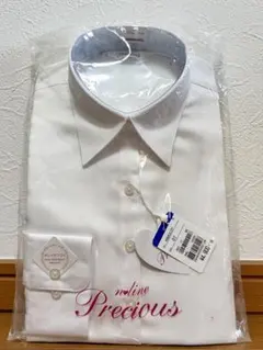 Item thumbnail for item 0349f9e3-6ed9-4071-bc39-e9b76fab7d80