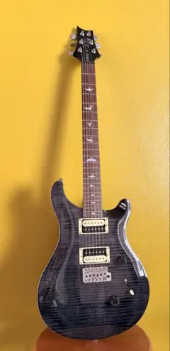 2026年最新】prs se custom 24の人気アイテム - メルカリ