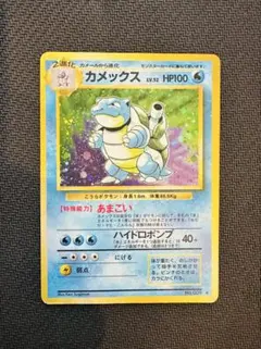 2026年最新】あまごい カメックスの人気アイテム - メルカリ