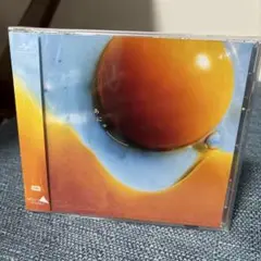 RADWIMPS あにゅー　【新品未使用未開封】