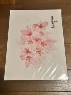 SnowMan 滝沢歌舞伎ZERO FINAL パンフレット