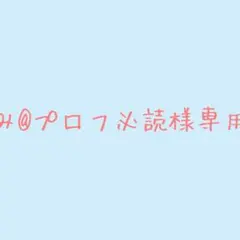 み@プロフ必読様専用