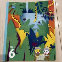 Item thumbnail for item 6ba87ecd-f8c4-4098-9b3d-ace748f44704