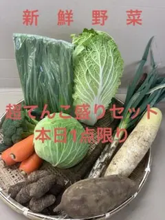茨城県産新鮮野菜超てんこ盛りセット（140サイズ）