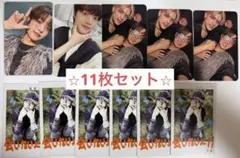 &TEAM EJ Back to Life トレカ　11枚セット