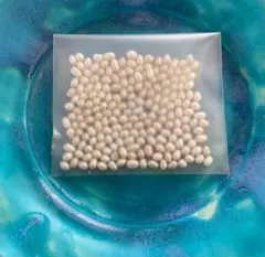 淡水パール 200個