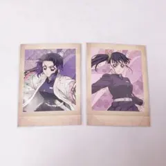 鬼滅の刃 ぱしゃこれ 其ノ捌 胡蝶しのぶ＆カナヲ