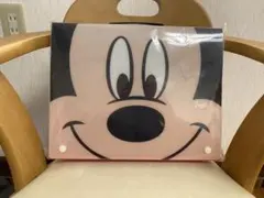 ミッキーマウス ディズニー キャリングケース 持ち運び用ファイルケース即購入可能