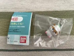 めじるしアクセサリー サンリオキャラクターズ オールスターズ Part.2