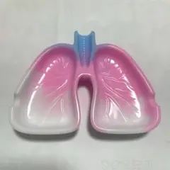 肺皿　灰皿　小物入れ　トレー　ハンドメイド　おぱんちゅうさぎ