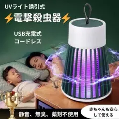 감전 살충제, 약물 없음, 광원, 초파리 유인, 모기 제거제, 냄새 방지, 벽걸이 가능, 방충제