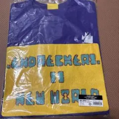 新品　未使用　ENDRECHERI.【RE】LIVE Tシャツ　堂本剛