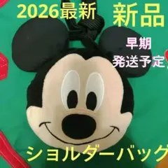 ミッキーポシェット ミッキーショルダーポシェット　ミニーポシェット