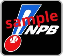 NPB風 縁シルバー ステッカー3枚1セット