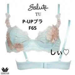 新品タグ付き Salute サルート 80G P-UPブラ F65 TU 風花