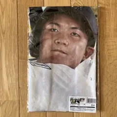 Item thumbnail for item 78270754-eeb7-4266-a917-4e718120d530