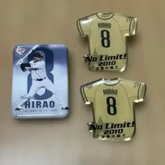 西武ライオンズ 平尾博嗣選手 ピンバッジ 缶バッジ #8 レトロ