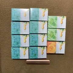 DR.VAPE model3 本体＋フレーバー11個 セット