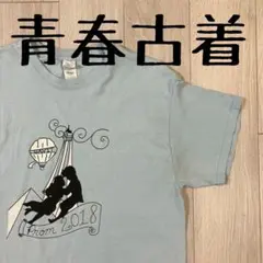 ヴィンテージ　アメリカ古着　カレッジT オシャレ　古着　Tシャツ　Y2K レトロ