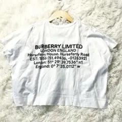 BURBERRY 半袖 Tシャツ ホワイト バック　ロゴ　プリント　カットソー