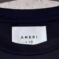 AMERI 半袖カットソー Tシャツ ブラック　セルロース　アメリ　フリーのサムネイル