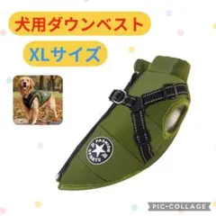 Item thumbnail for item 769555d5-a2fc-4062-aeb3-d837dcdb4141