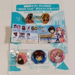 機動戦士ガンダムSEED DESTINY FREEDOM 缶バッジ ピンバッジ