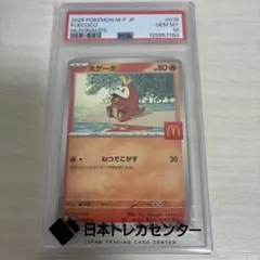 ホゲータ PSA10 ポケモンカード