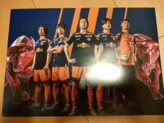 アルディージャ　ポスター A4サイズ